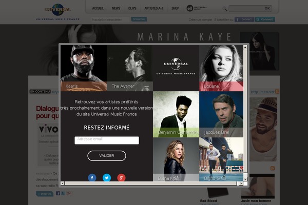 austerity theme websites examples