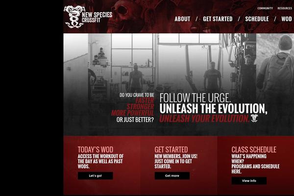 Site using Custom Facebook Feed plugin