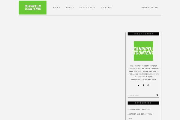 Bridge theme site design template sample