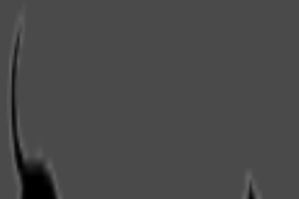 Site using New-royalslider plugin