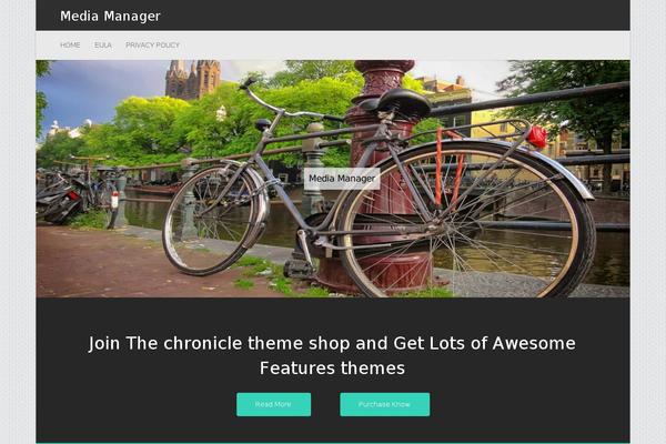 Chronicle theme site design template sample