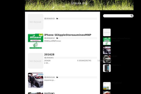 WordPress website example screenshot