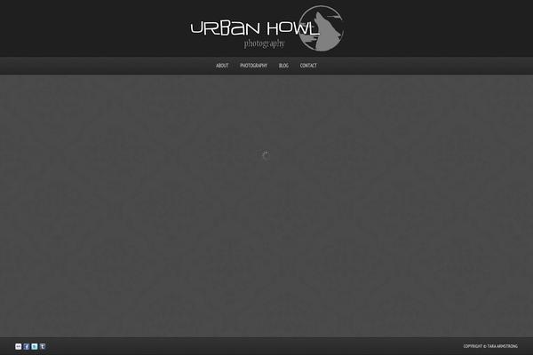 Photolux theme site design template sample