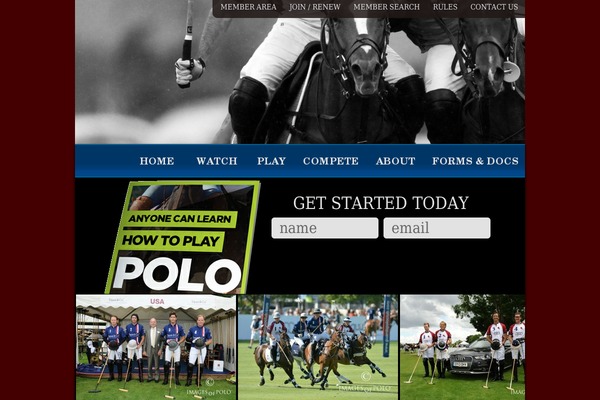 PoloSkilzCreative theme websites examples