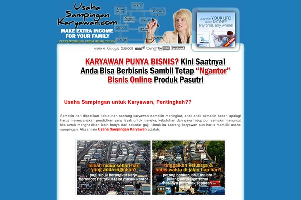 usahasampingankaryawan.com site used Wordpressminisite-style3-red