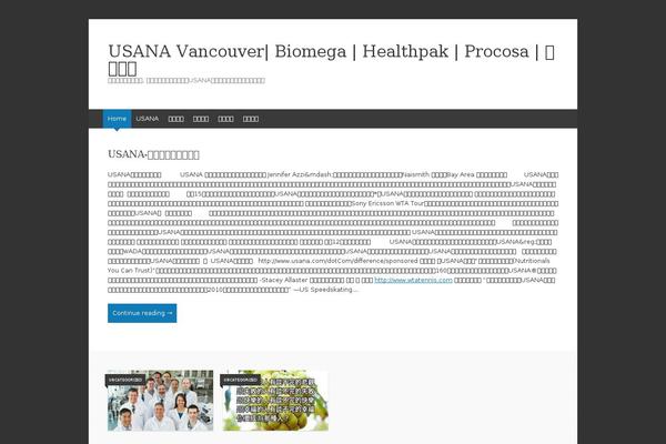 WordPress website example screenshot
