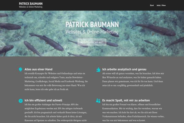 WordPress website example screenshot