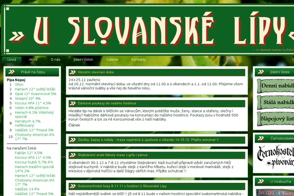 uslovanskelipy.cz site used Bettaso