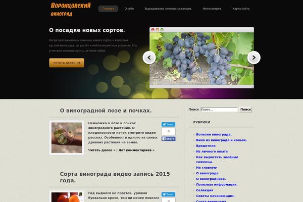 uvinograda.ru site used Copperific