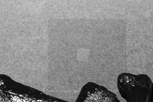 Twenty Sixteen theme site design template sample