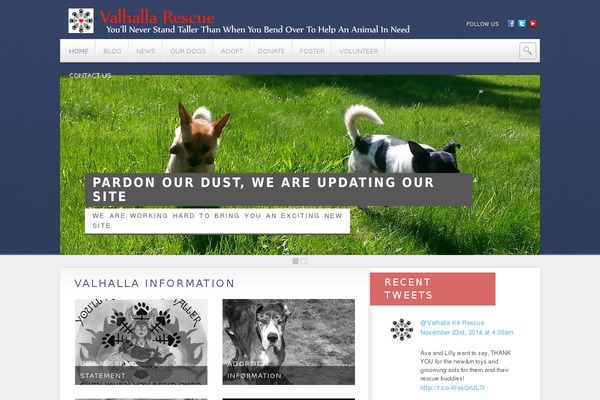 Animal_care_theme theme site design template sample