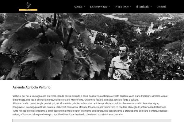 valturio.com site used Valturio