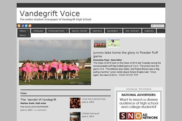 WordPress website example screenshot