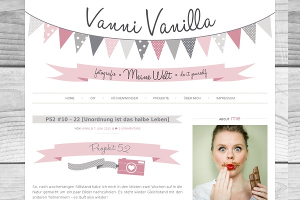 Sugar and Spice theme site design template sample