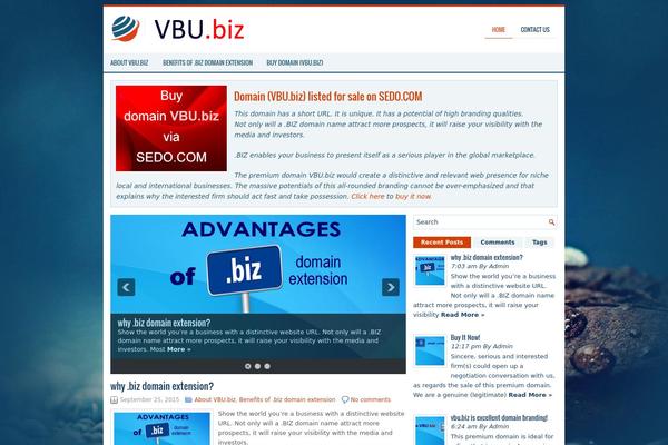 BizPlanet theme websites examples