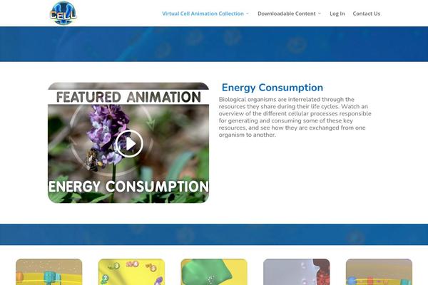 Site using Easy FancyBox plugin