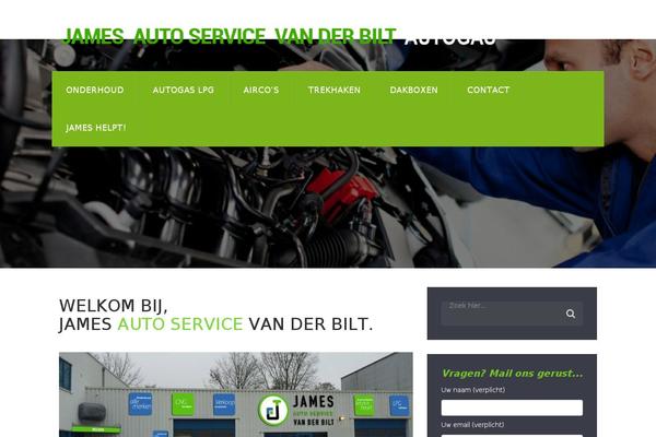 vdbilt.nl site used Mechanic