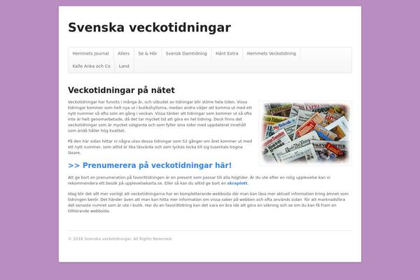 WordPress website example screenshot