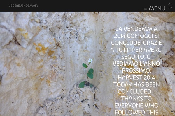 Site using Custom-fonts plugin