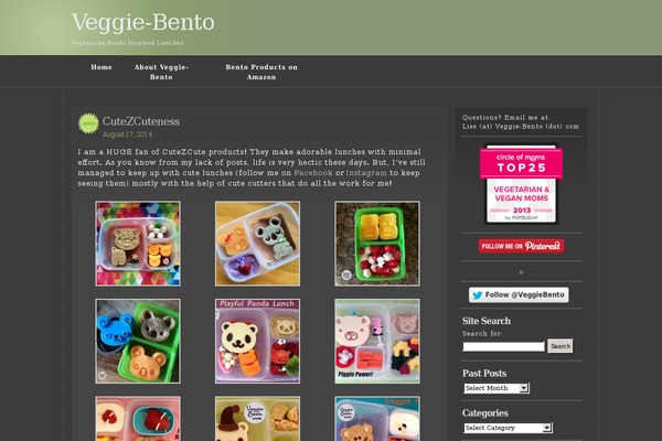 Emire theme site design template sample
