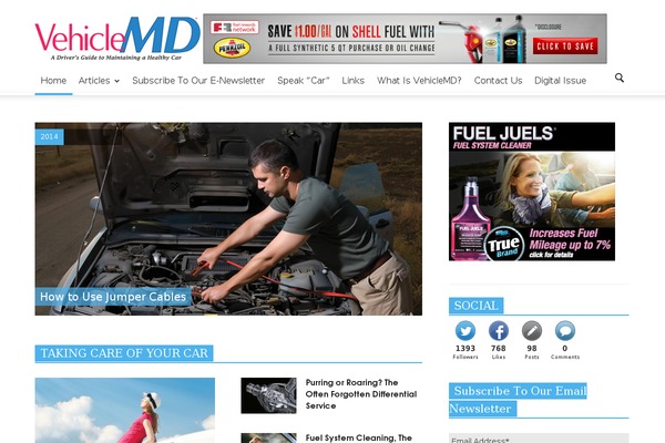 WordPress website example screenshot