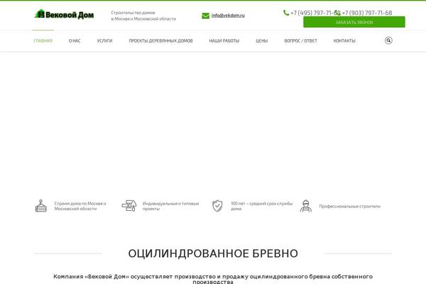vekdom.ru site used Skyzet-stroy2