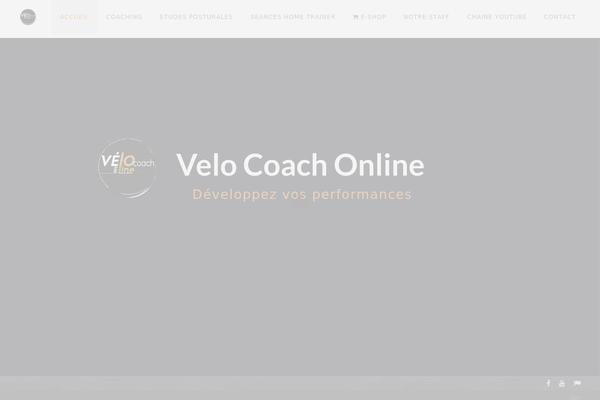 velocoachonline.com site used Saltwp