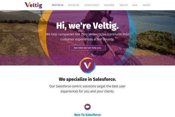 veltigconsulting.com site used Veltig