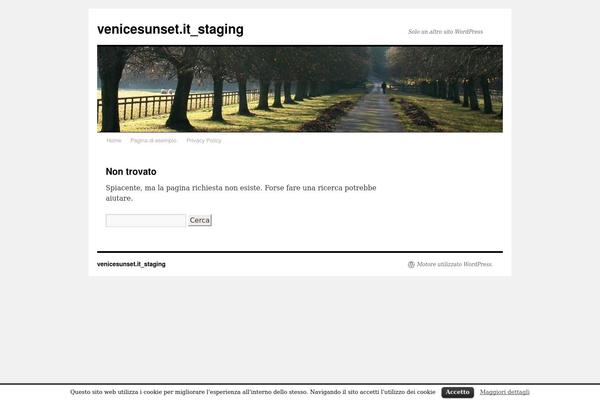 WordPress website example screenshot