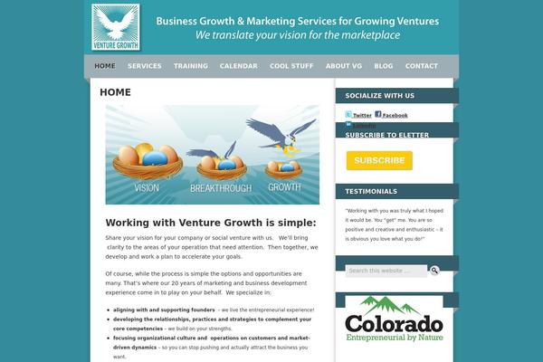 venturegrowth.com site used Blingless