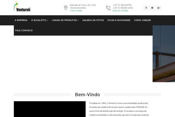 venturoli.com.br site used Venturoli