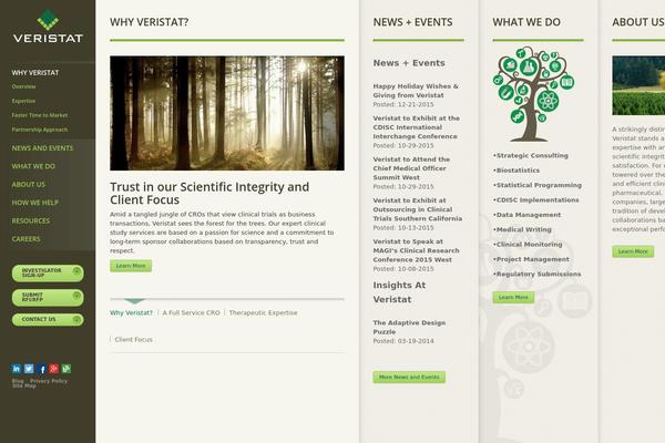 Custom Theme theme site design template sample
