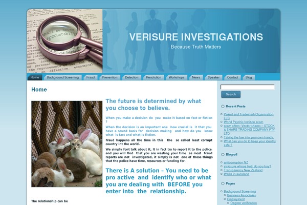 verisure.co.nz site used Verisure_new