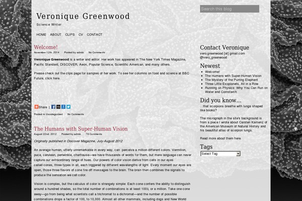 Svelt theme site design template sample