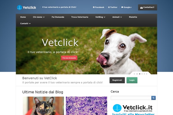 vetclick.it site used Vetclick