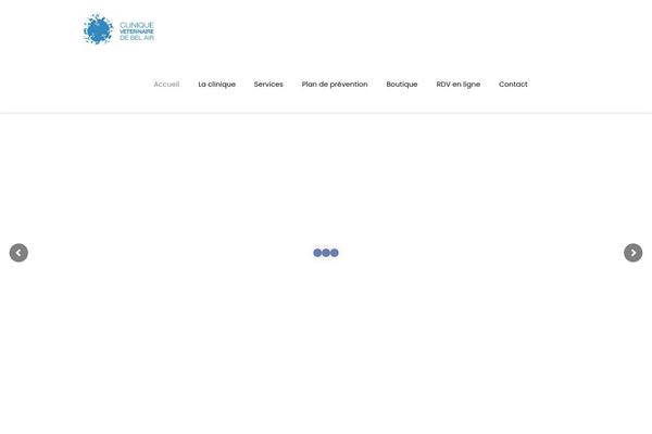 veterinaire-77.com site used Baotheme