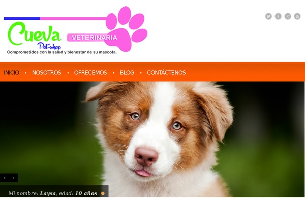 theme44159 WordPress theme, websites list used theme44159 theme theme44159 theme websites examples