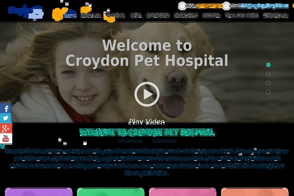 veterinariansmd.com site used Croydona