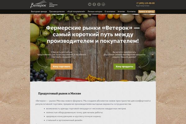 veterok.ru site used Veterok