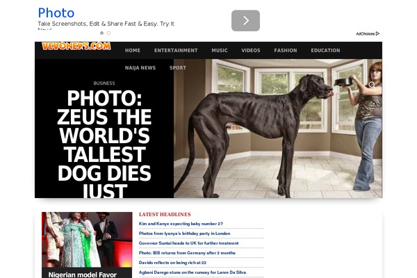 elegance-childtheme theme websites examples