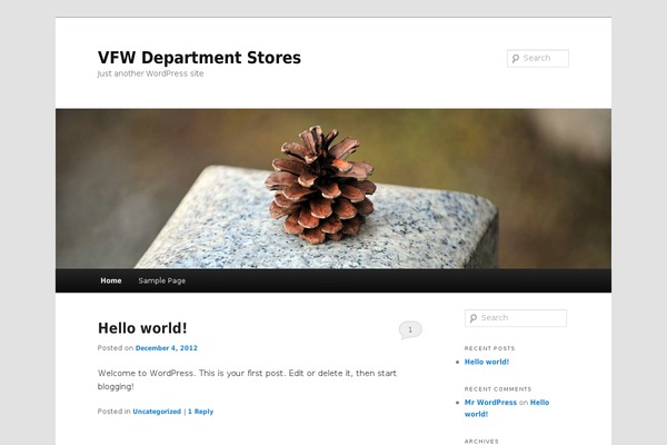 WordPress website example screenshot
