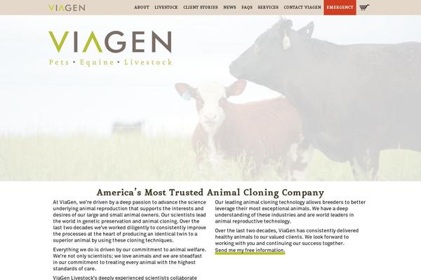 viagen.com site used Viagen