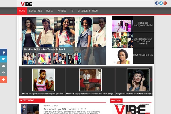 Vibez website example screenshot