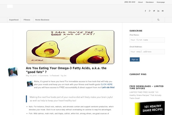 WordPress website example screenshot