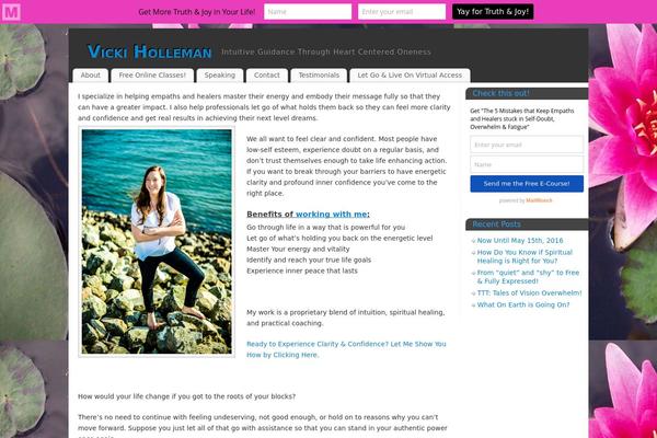WordPress website example screenshot