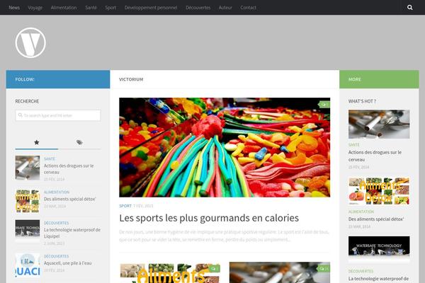 Hueman theme site design template sample