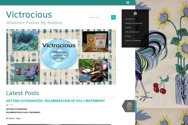 victrocious.com site used LeatherDiary