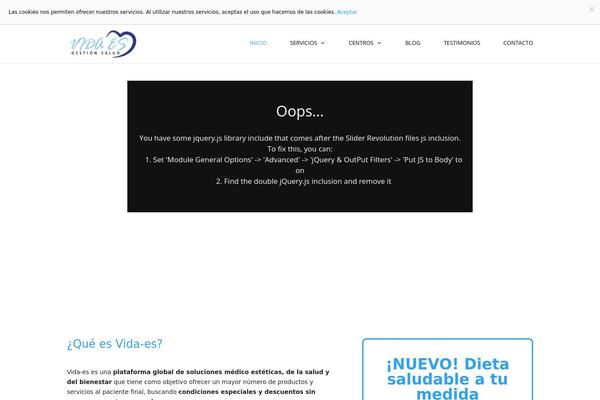 vida-es.com site used Vidaes
