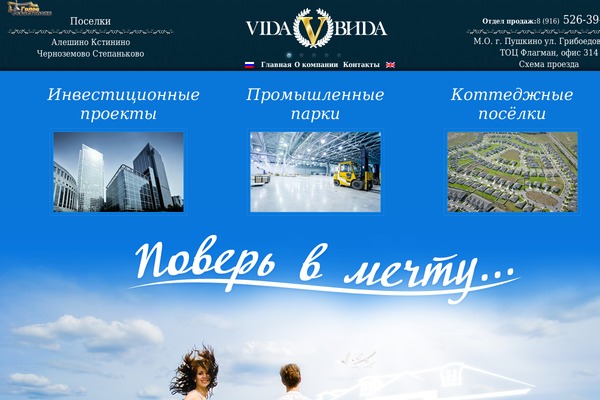 vida theme websites examples