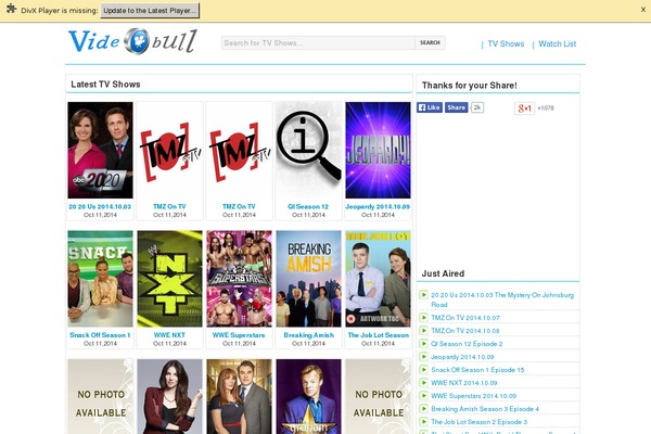Videozoom theme websites examples